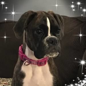 Meet your Posher, Jackie